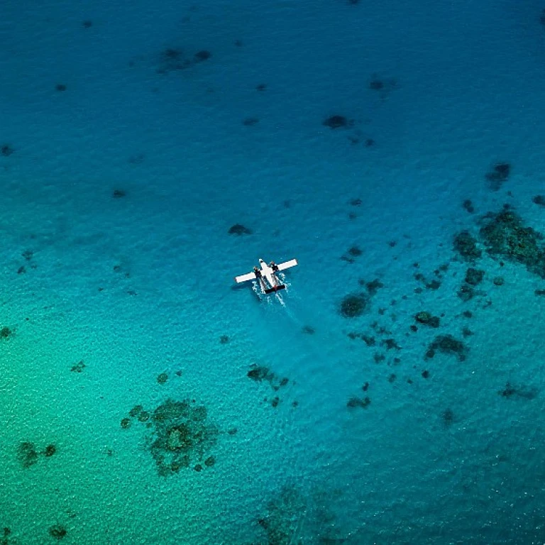 Comprendre le rôle du cse chez Dassault Aviation